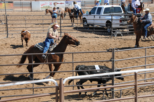 Ranch Sorting